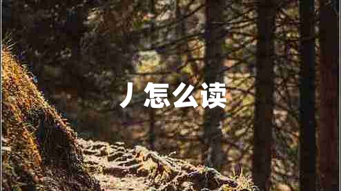 丿怎么讀 丿怎么讀