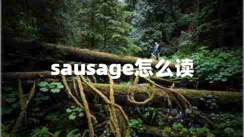 sausage怎么讀 sausage怎么讀