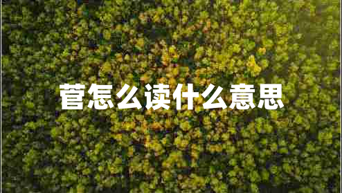 菅怎么讀什么意思