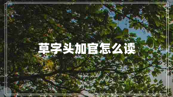 草字頭加官怎么讀