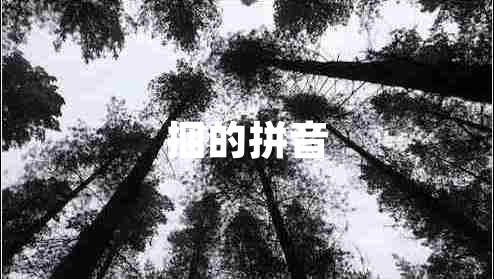 捆的拼音 捆的拼音