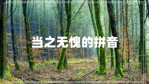 當之無(wú)愧的拼音