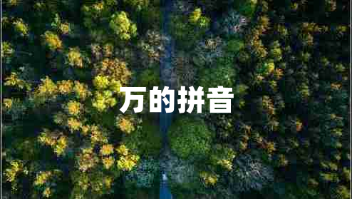 萬(wàn)的拼音