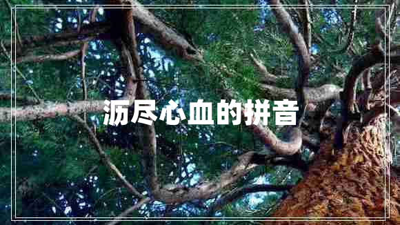 瀝盡心血的拼音