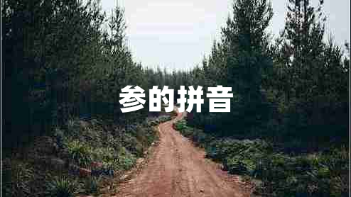 參的拼音