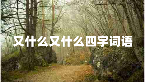 又什么又什么四字詞語(yǔ)