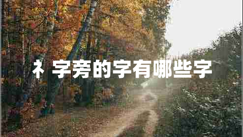 礻字旁的字有哪些字