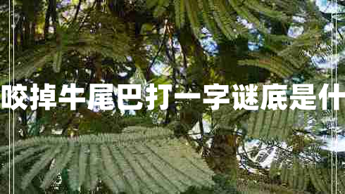 一口咬掉牛尾巴打一字謎底是什么字