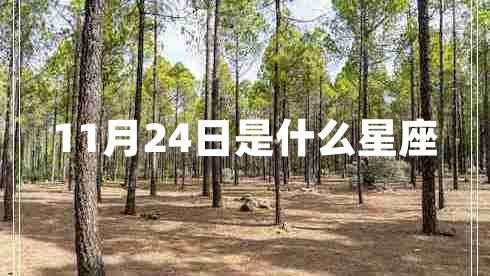11月24日是什么星座 11月24日是什么星座
