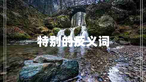 特別的反義詞