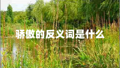 驕傲的反義詞是什么