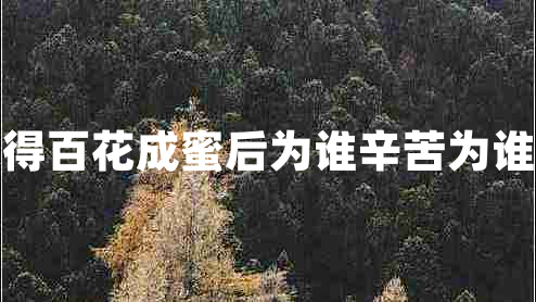 采得百花成蜜后為誰(shuí)辛苦為誰(shuí)甜