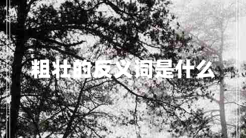 粗壯的反義詞是什么