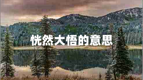 恍然大悟的意思