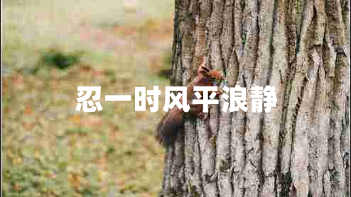 忍一時(shí)風(fēng)平浪靜