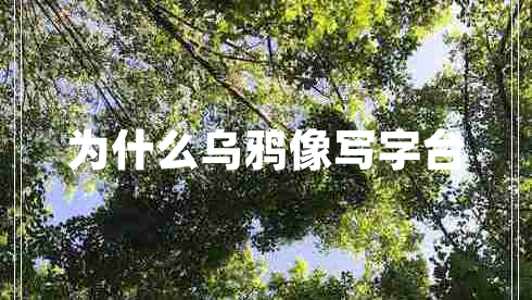 為什么烏鴉像寫(xiě)字臺