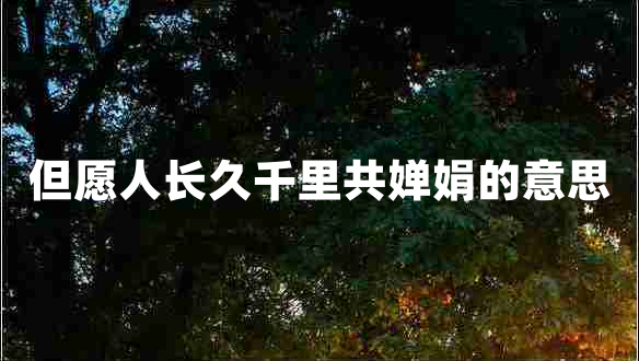 但愿人長(cháng)久千里共嬋娟的意思