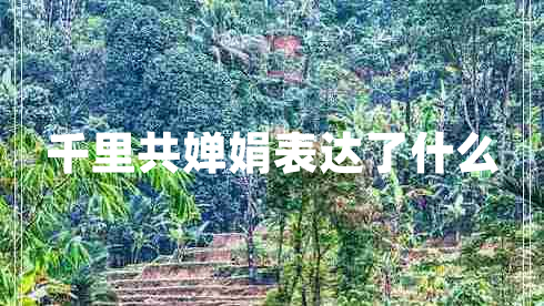 千里共嬋娟表達了什么