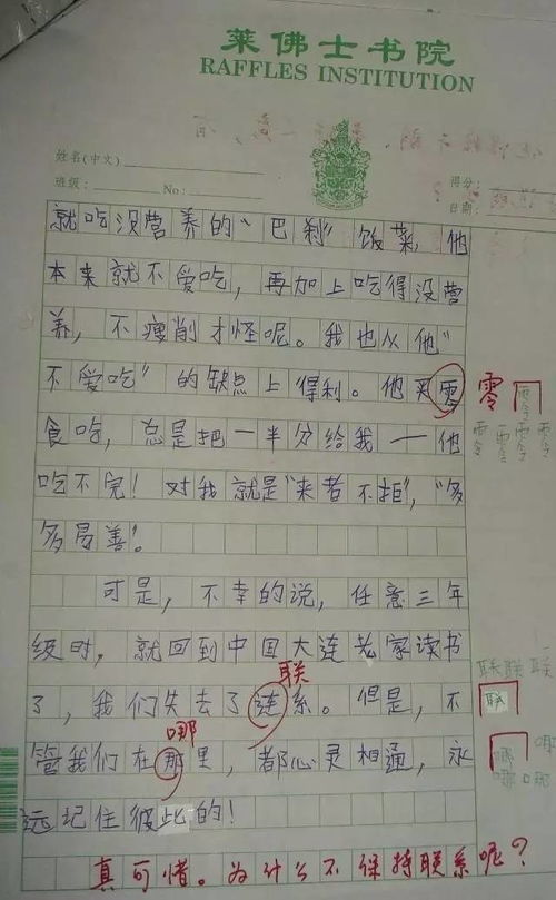 我的第一次校園作文