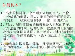 一小校園一處景色作文三級