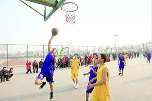 描寫(xiě)校園籃球場(chǎng)的作文100字