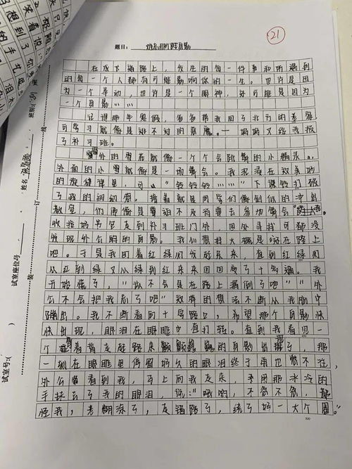 校園活動(dòng)的作文500字作文