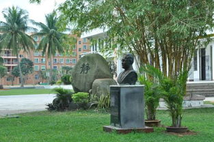 作文我的校園一角400字