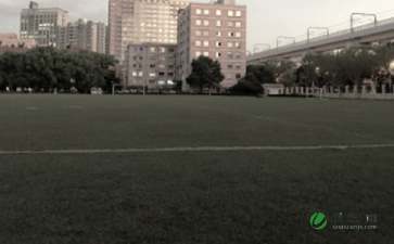 校園一角操場(chǎng)作文初二