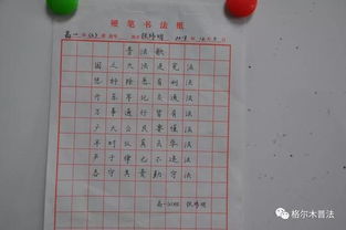 作文,憲法,進(jìn)校園