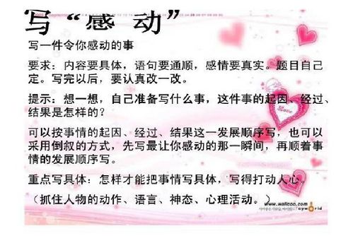 校園的那些令人感動(dòng)的事作文