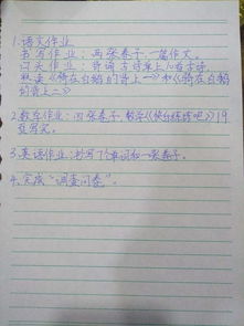 作文,國慶節,小學(xué),校園