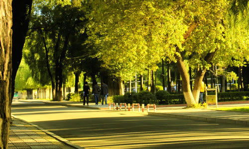 校園的印象800字作文