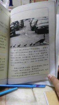 新校園新成長(cháng)作文300字