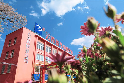 校園里花草樹(shù)木的變化作文