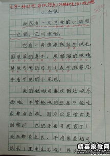 觀(guān)察校園作文的四百