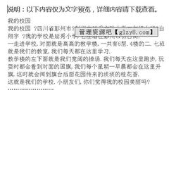 校園樂(lè )園的作文二級