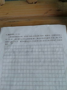 回歸校園的作文600字,校園的作文300個(gè)字,校園的美作文300字