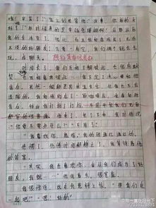 十后的科技校園作文