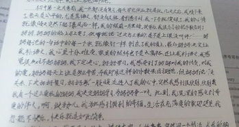 作文,踏入,職業(yè),校園