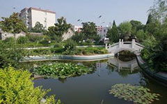 夏日的校園作文30字