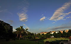 校園美麗的早晨作文400字