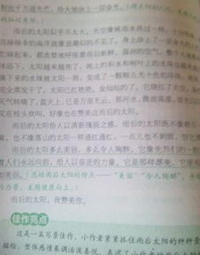 校園一角作文按游覽順序寫(xiě)