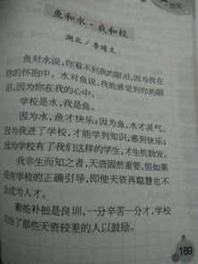 誠信校園作文800