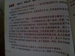 我們的校園真美作文300字三年級,我們的校園真美作文300字四年級,我們的校園真美作文300字三年級寫(xiě)景