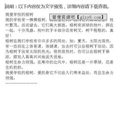 校園的榕樹(shù)作文400字