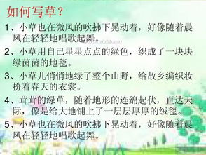 作文,一處,景物,描寫(xiě)