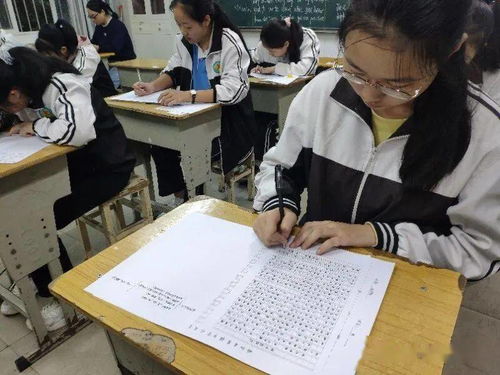 愛(ài)在校園作文初中作文600字作文大全