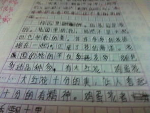 寫(xiě)果園校園的作文58字作文