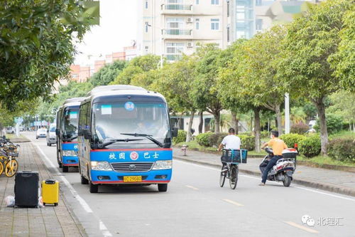 作文,那份,美麗,校園