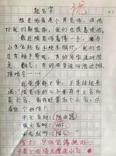 小學(xué)生描寫(xiě)校園的作文,小學(xué)生校園安全作文,小學(xué)生校園種菜作文